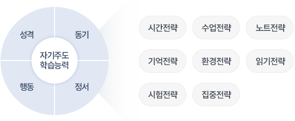 학습능력검사 그래픽 이미지